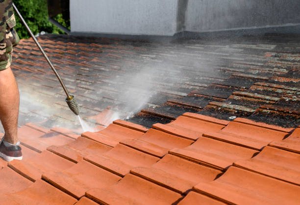 Deck Cleaning Services in Ahoskie, NC