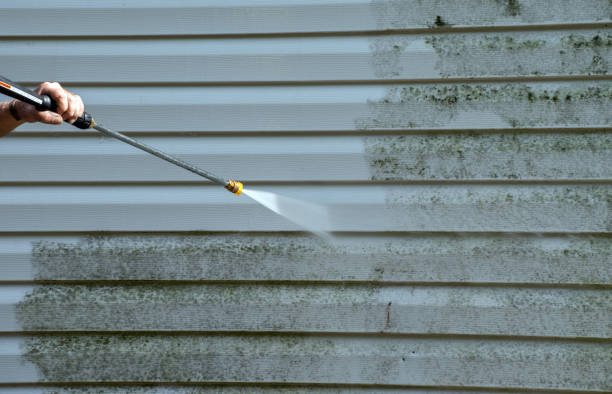 Professional Pressure Washing in Ahoskie, NC